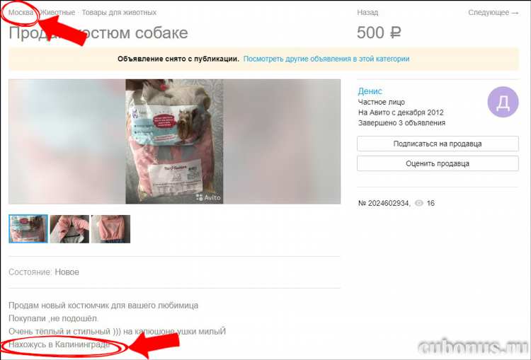 Авито доска объявлений смотреть