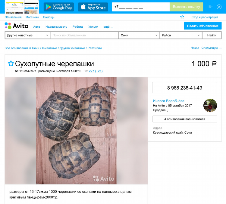 Авито крым доска бесплатных объявлений от частных лиц животные