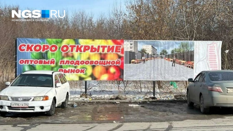 Авито новосибирск бесплатные объявления от частных лиц