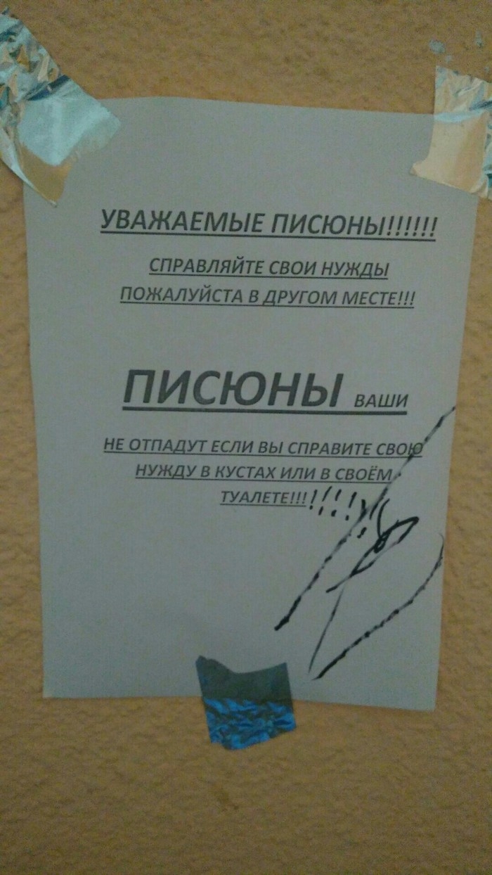 Авито тверь доска объявлений