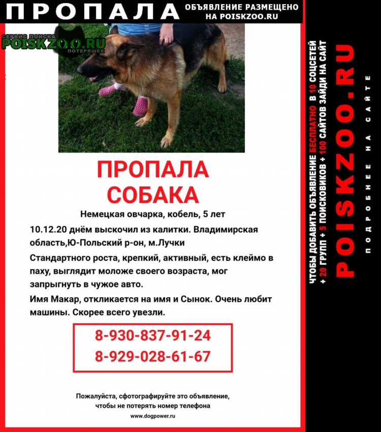 Автоматическая доска объявлений бесплатно