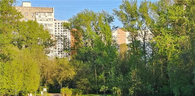 Бирюлево западное доска объявлений