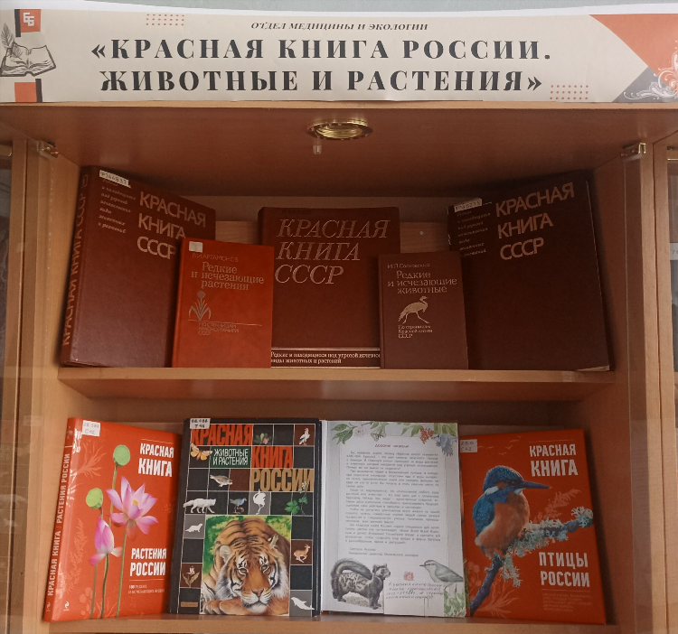 Чепецк ру доска объявлений кирово чепецк животные