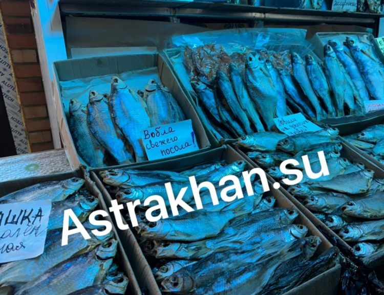 Доска объявлений продам рыбу