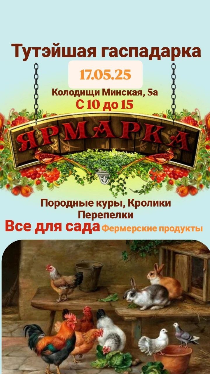 Доска объявлений продажа птиц