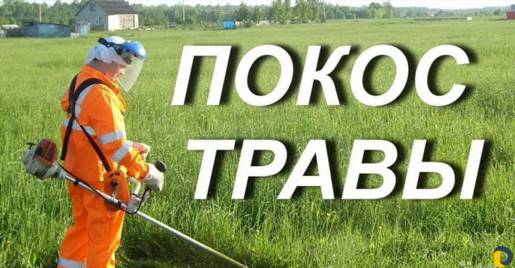 Доска объявлений тихорецк бесплатных