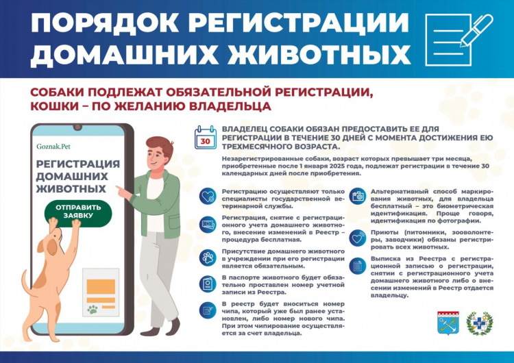 Гатчина доска объявлений бесплатно