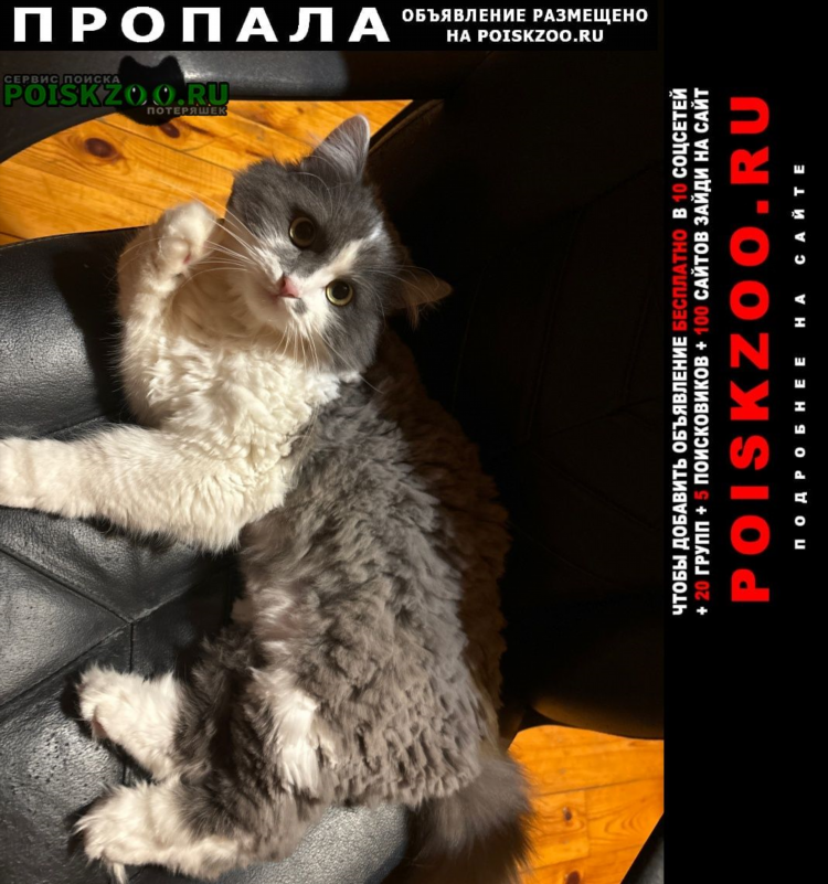 Интернет доска объявлений москва