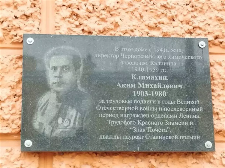 Котята в добрые руки ярославль бесплатно свежие объявления дзержинский район