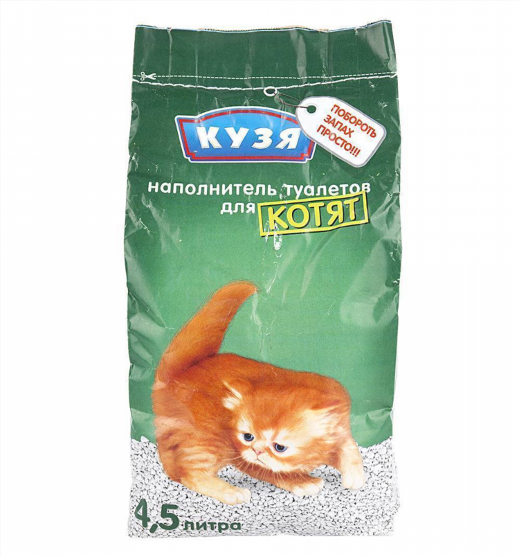 Котята в сургуте бесплатно свежие объявления