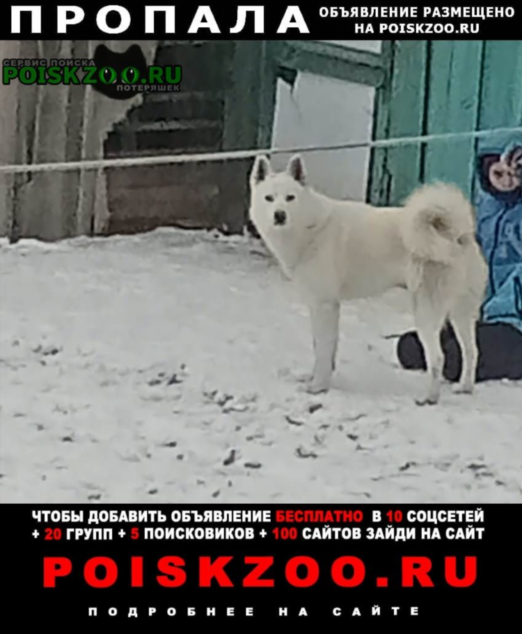 Кожевниково объявления