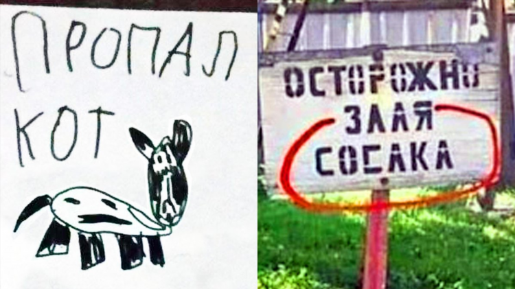 Объявление прикол