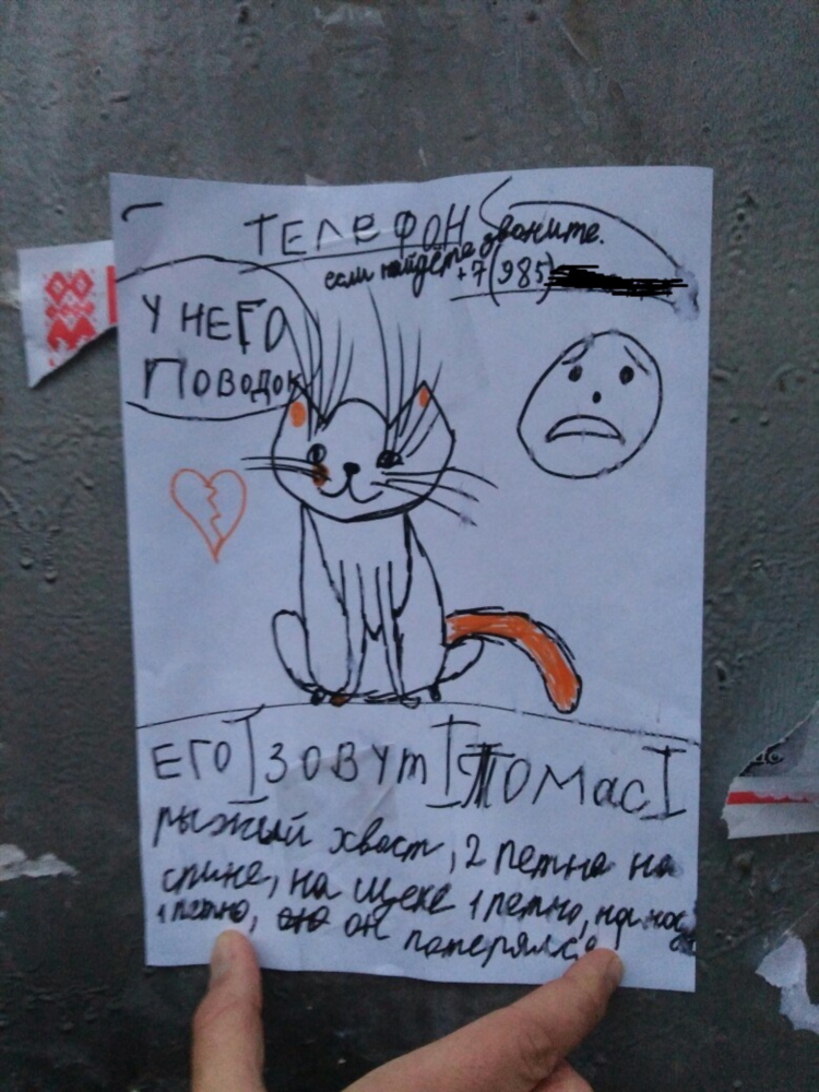 Объявления о потере котенка