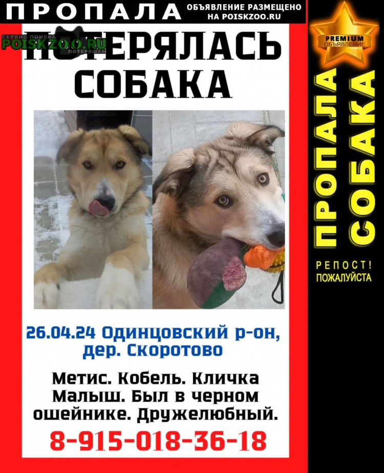 Одинцовская доска объявлений