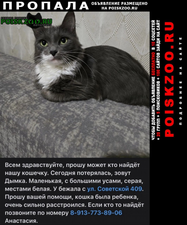 Сайт бесплатных объявлений разместить
