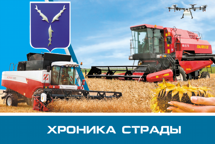Сельхоз агро рынок днр лнр объявления