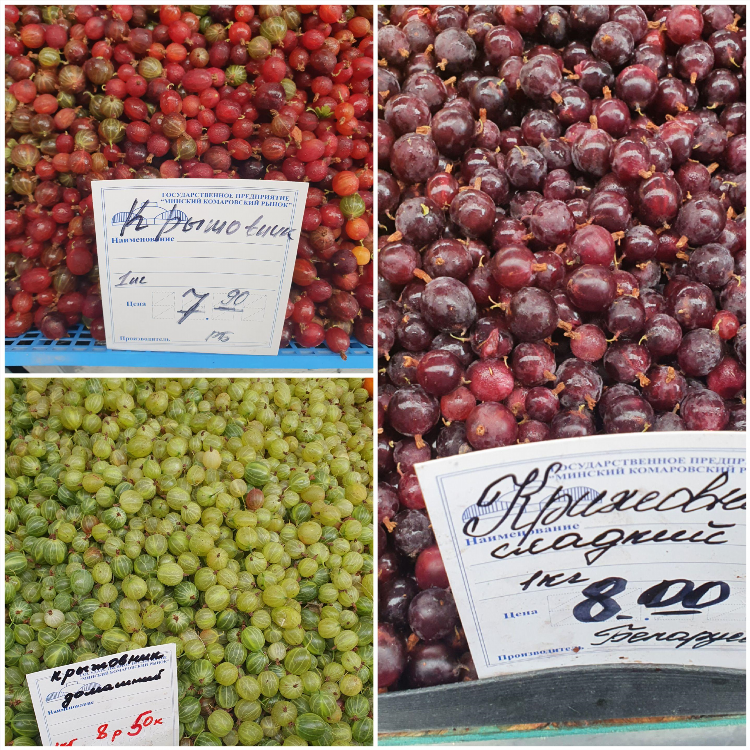Скупка грибов и ягод куплю продам объявления