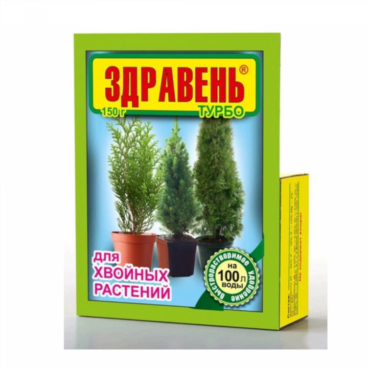В контакте объявления хвойная